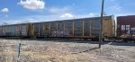 TTGX 982203